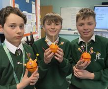 IMG 5715